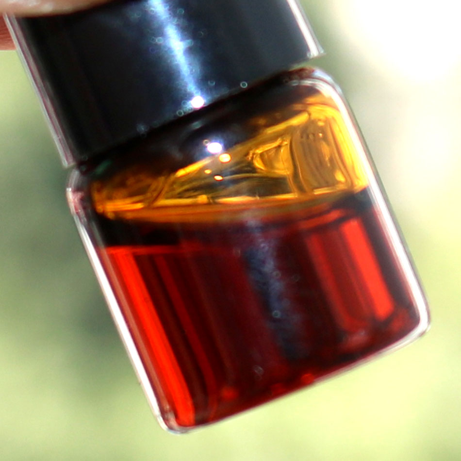 1 ml/bottiglia Autentico Natur - Sandalwood Perfume Oil recensione e prezzo