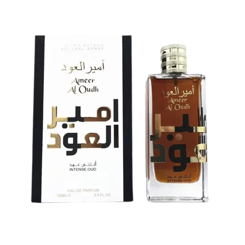 Ameer Eau De Parfum Spray Corp - Perfume High Fragrance recensione e prezzo