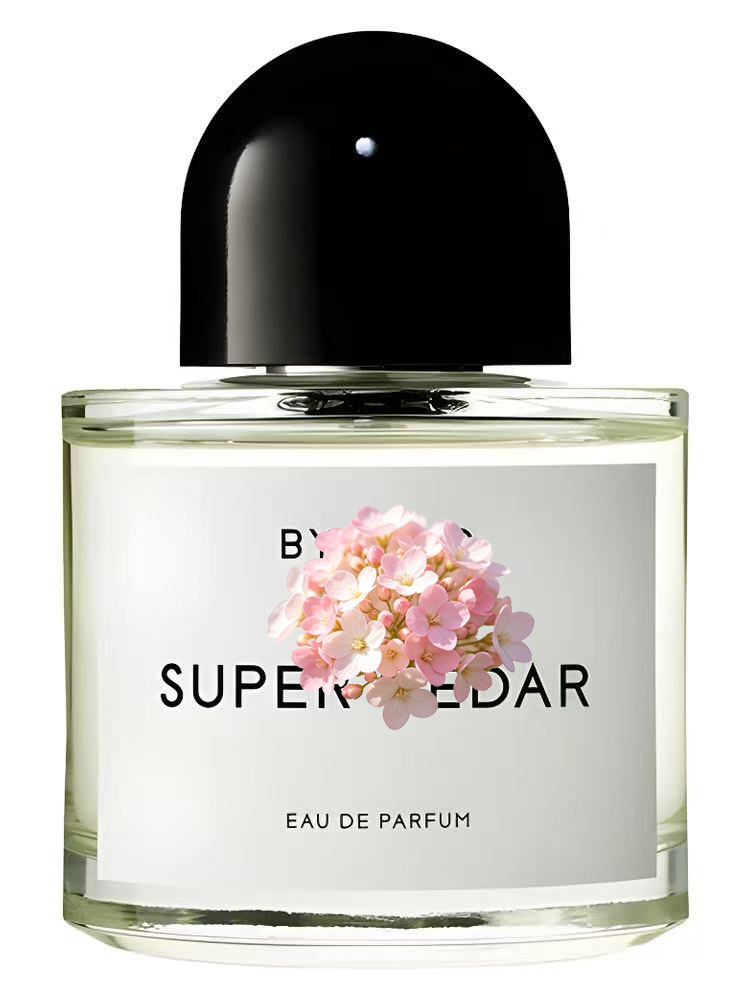 Eau de Parfum Unisex 100ml 3.4 - Eau De Parfum Women recensione e prezzo
